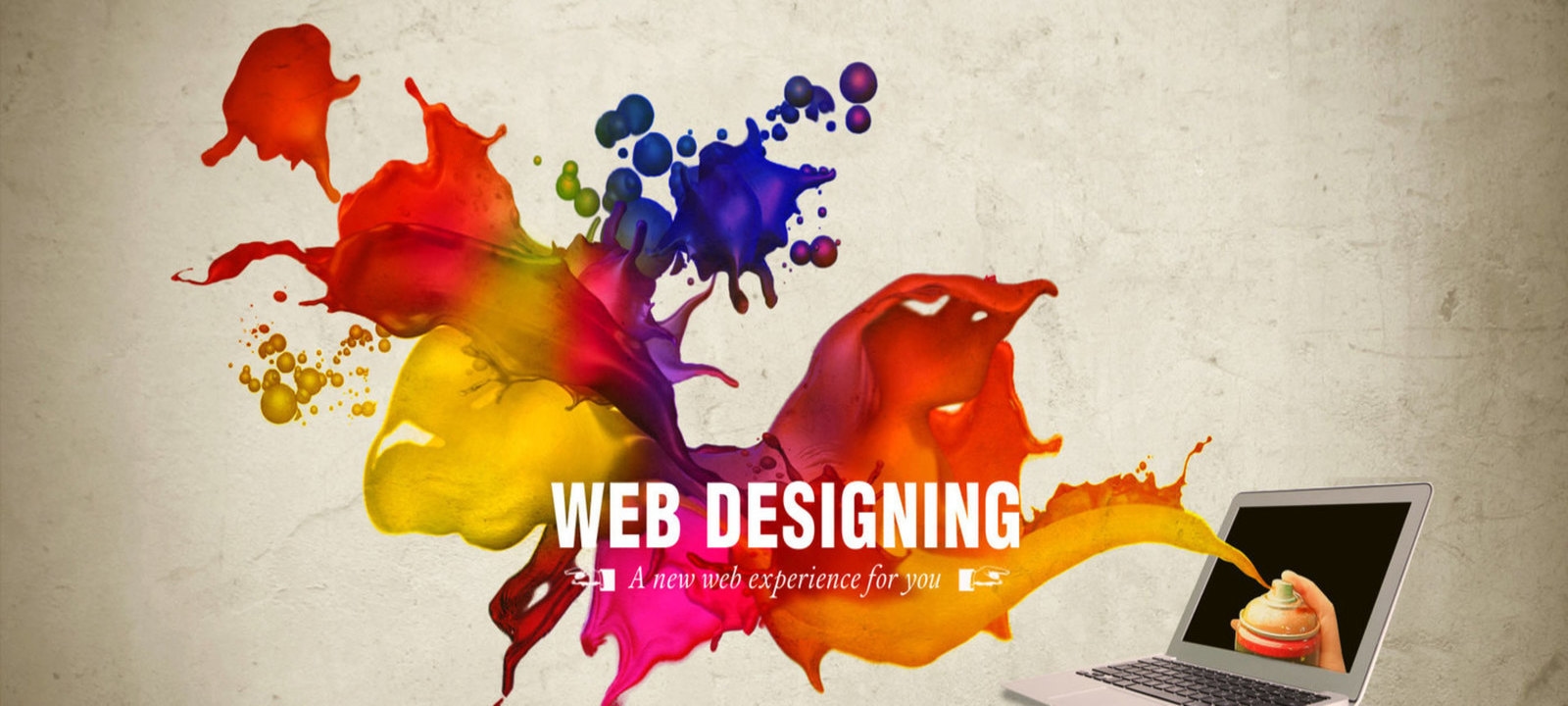 website development company in pune